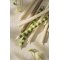 Ib Laursen, Kertelys 3 t, kit, svanem�rket