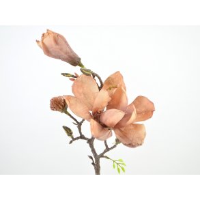 DEKO FLORALE, Magnolia gren, 58cm, fersken