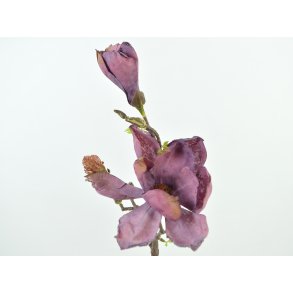DEKO FLORALE, Magnolia gren, 58cm, lilla