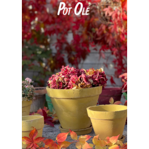 POT OL�, Potte, La Plage, Yellow
