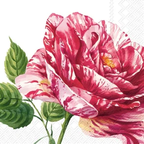 VINDING et CO, Kaffeserviet med stor rose, Charlotte