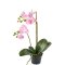 Mr Plant, Kunstig orkid�, Phalaenopsis, H45 cm, Pink