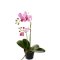 Mr Plant, Kunstig orkid�, Phalaenopsis, H45 cm, Dyb lyser�d