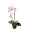 Mr Plant, Kunstig orkid�, Phalaenopsis, H45 cm, Lyser�d