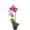 Mr Plant, Kunstig orkid�, Phalaenopsis, H45 cm, M�rk lilla