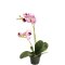 Mr Plant, Kunstig orkid�, Phalaenopsis, H45 cm, Lys lilla