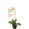 Mr Plant, Kunstig orkid�, Phalaenopsis, H45 cm, Gul