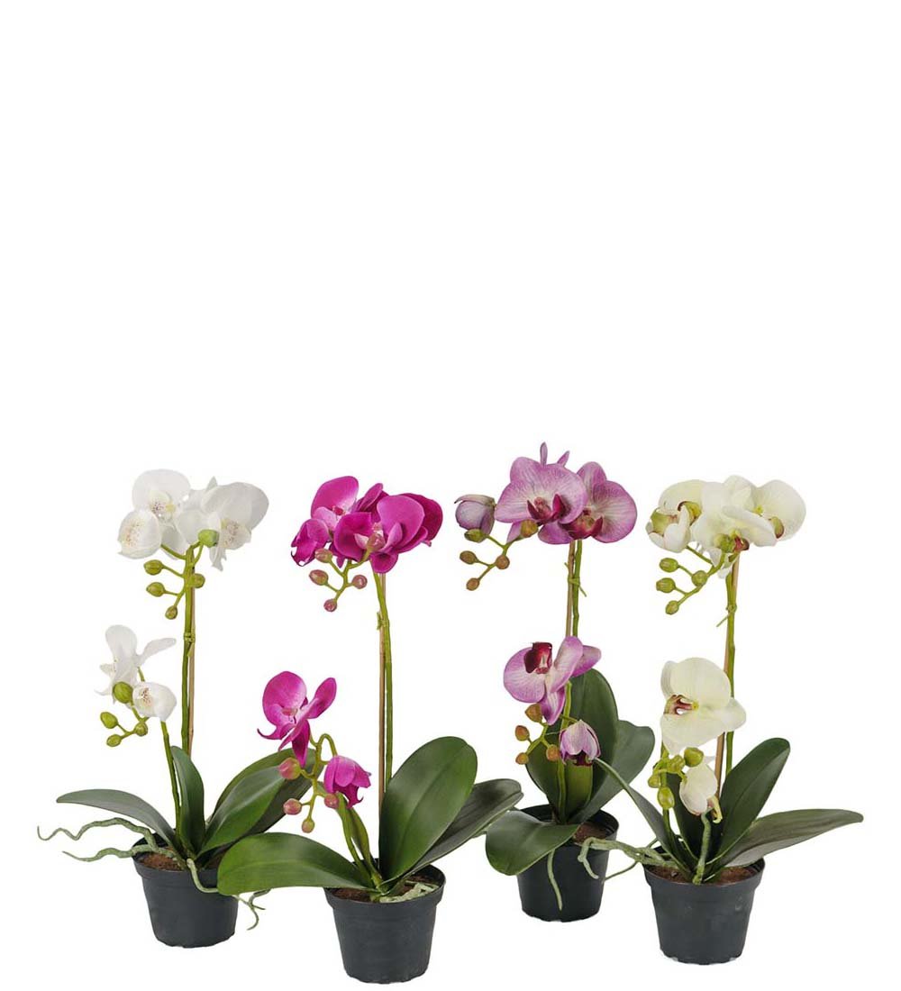 Mr Plant, Kunstig orkid, Phalaenopsis, H45 cm
