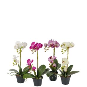 Mr Plant, Kunstig orkid, Phalaenopsis, H45 cm