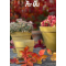 POT OL�, Potte, La Plage, Yellow