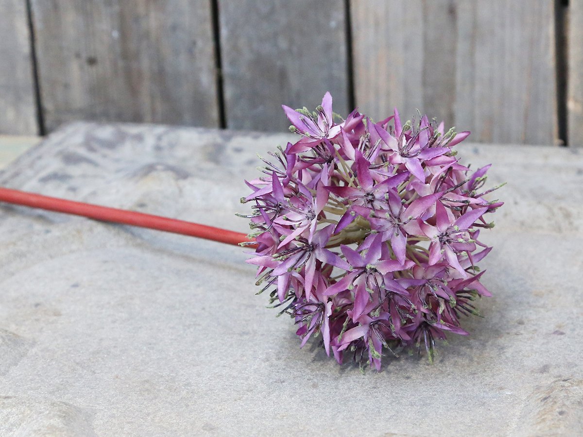 Chic Antique, Fleur Allium - lavendel