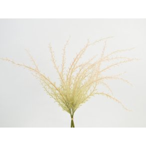 DEKO FLORALE, Pampasgrs, 45cm, creme