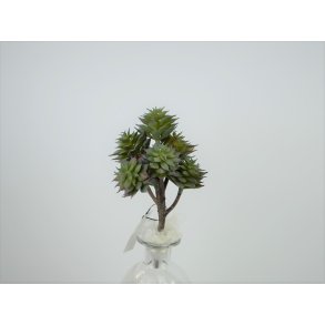 DEKO FLORALE, Kunstigt sukkulent, 18 cm, gr/grn