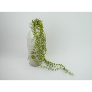 DEKO FLORALE, Sukkulent bladvedhng, 70 cm