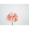 DEKO FLORALE, Kunstig hortensia, 50 cm, lyserd