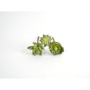 DEKO FLORALE, Kunstig sukkulenter, 3 stk. 10-12 cm