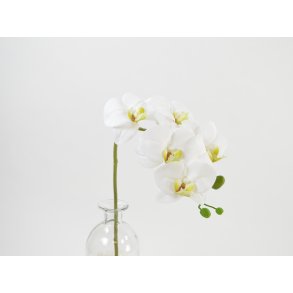 DEKO FLORALE, Orkidegren, 48 cm, hvid