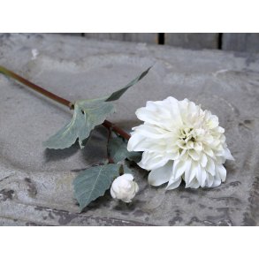 Chic Antique, Fleur Dahlia, H48 cm., creme