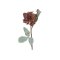 Chic Antique, Fleur Dahlia, H50 cm., mocca