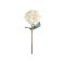 Chic Antique, Fleur Hortensia med blade, H80 cm., creme