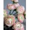 Chic Antique, Fleur Ranunkel buket, rosa