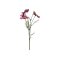 Chic Antique, Fleur Stolt Kavaler, H55 cm