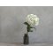 Chic Antique, Fleur Hortensia med blade, H85 cm., creme