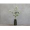 Chic Antique, Fleur Grftekantsblomst, H74 cm., hvid