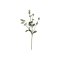 Chic Antique, Fleur Grftekantsblomst, H74 cm., hvid