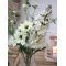 Chic Antique, Fleur Grftekantsblomst, H74 cm., hvid