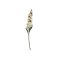 Chic Antique, Fleur Ridderspore, H80 cm., creme