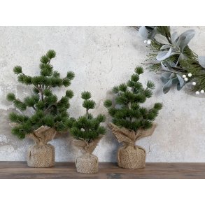 Chic Antique, Fleur Cedertr