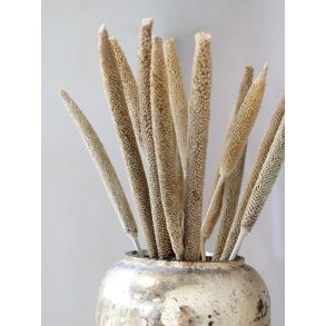 Chic Antique, Fleur trrede perlehirse