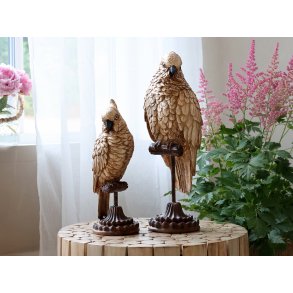 Chic Antique, Papegje p fod, antique messing