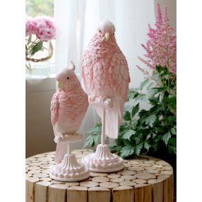 Chic Antique, Papegje p fod, raspberry