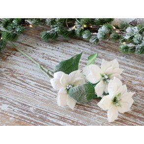 Chic Antique, Fleur julestjerne med sne og glimmer