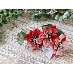 Chic Antique, Fleur julestjerne med sne og glimmer, rd