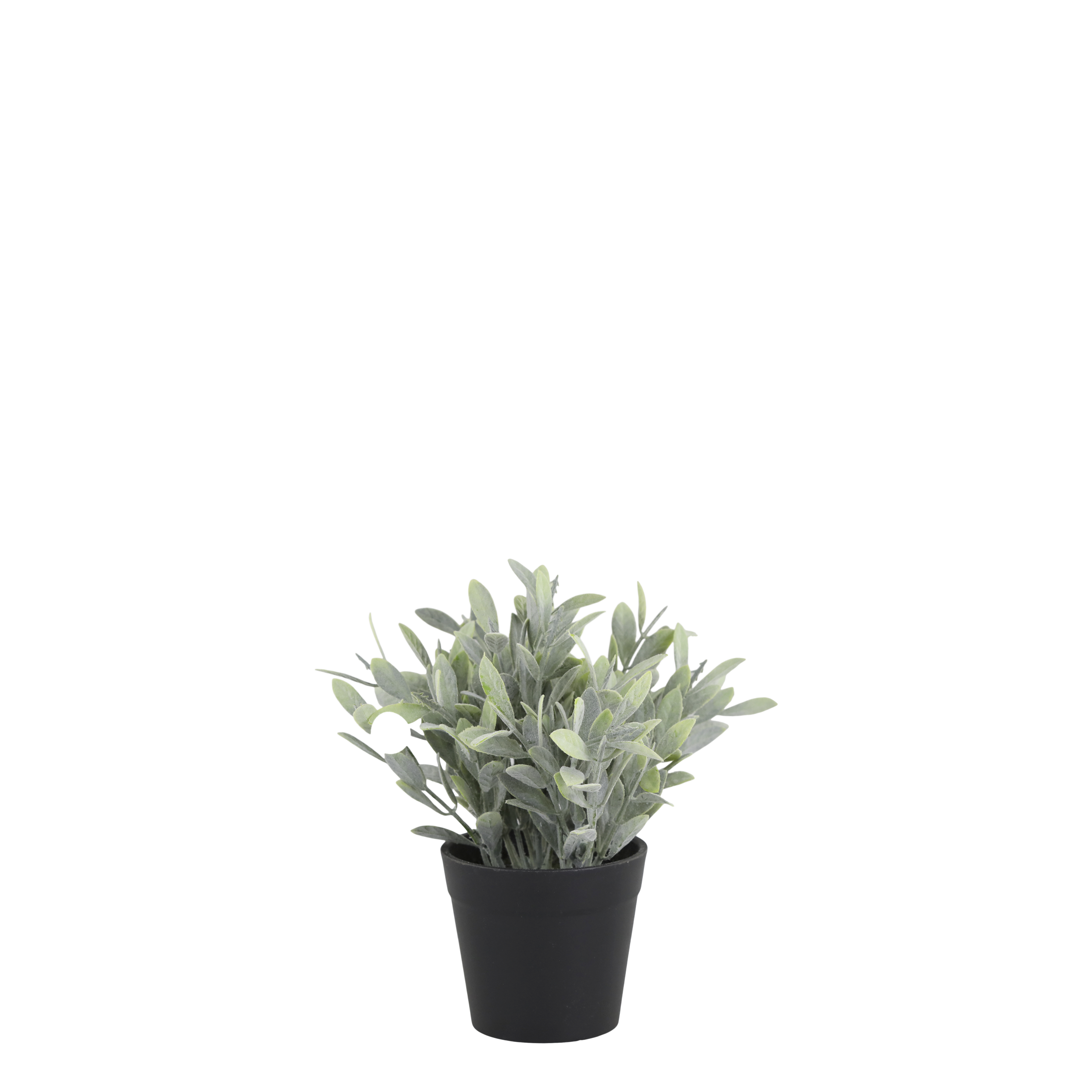 Chic Antique, Fleur plante, H18 cm