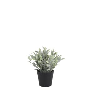 Chic Antique, Fleur plante, H18 cm
