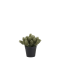 Chic Antique, Fleur plante, H15 cm
