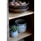Chic Antique, Fleur plante, H15 cm