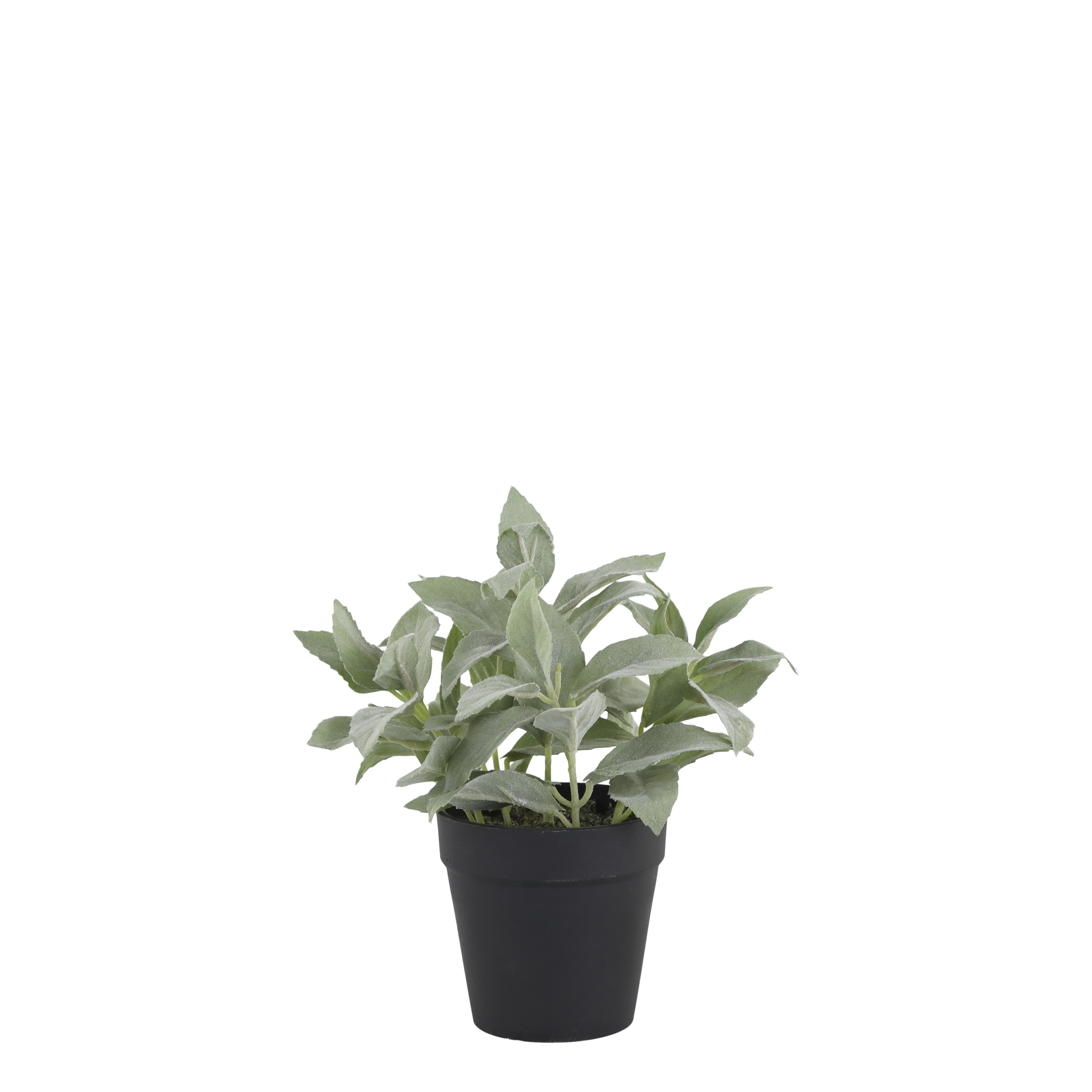 Chic Antique, Fleur plante, H23 cm