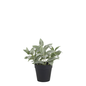 Chic Antique, Fleur plante, H23 cm