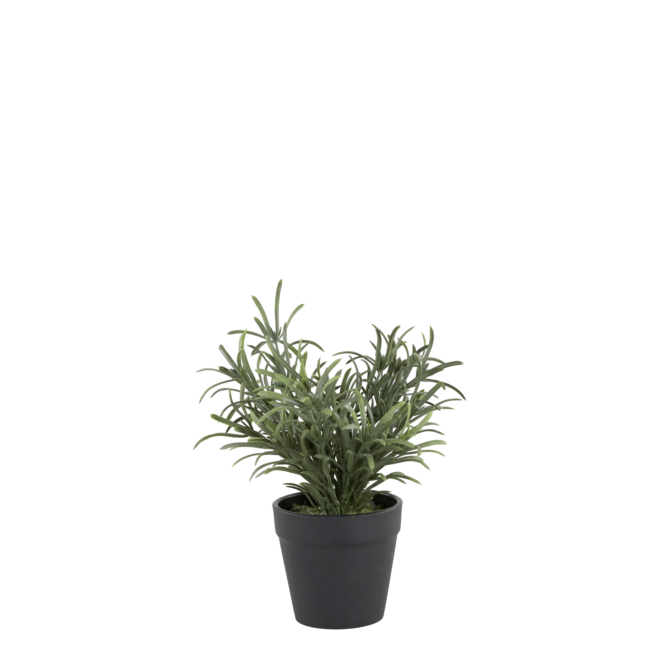 Chic Antique, Fleur plante, H25 cm