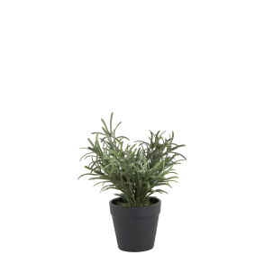 Chic Antique, Fleur plante, H25 cm