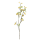 Chic Antique, Fleur Gren med havtorn