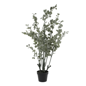 Chic Antique, Fleur Eukalyptustr