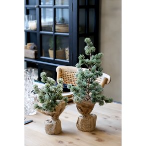 Chic Antique, Fleur Cedertr med sne