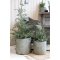 Chic Antique, Fleur grantr med kogler