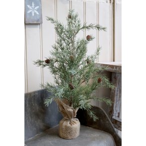 Chic Antique, Fleur grantr� med kogler